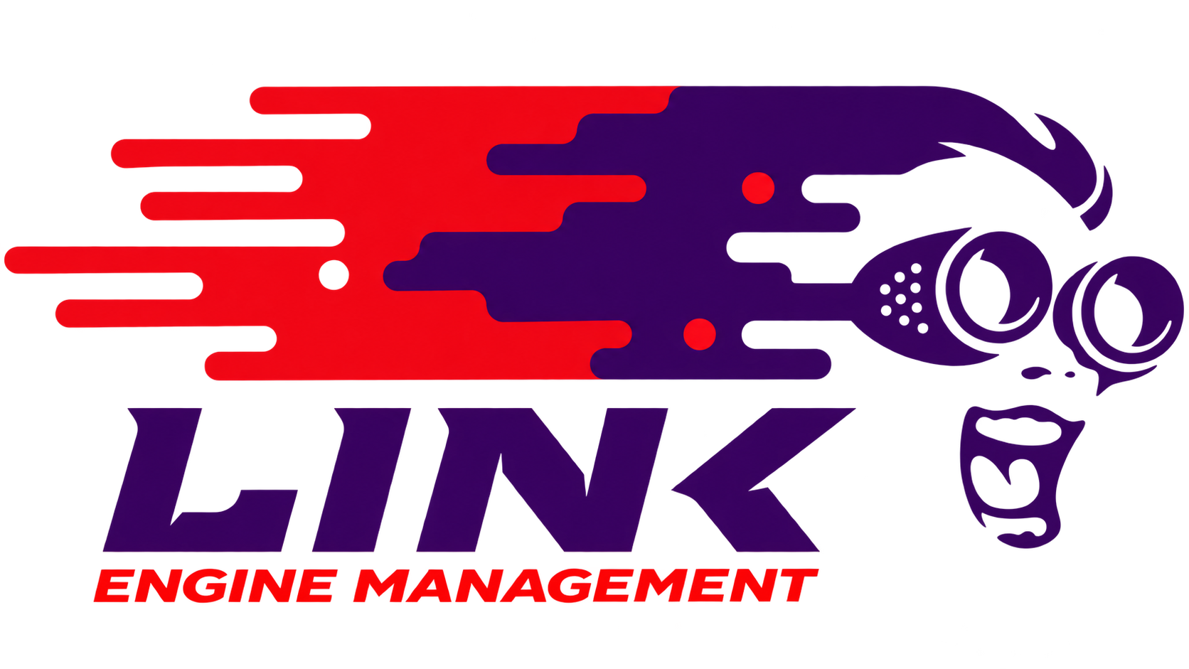LinkECU engine management logo for authorized dealer Mr. Honditas in Toms River, NJ